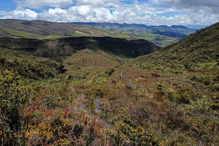 Sumapaz Mountaintop Páramo Trek - 3 hours