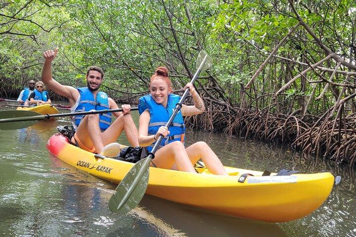 Exploración de la isla y la naturaleza de la Bahía Biscayne