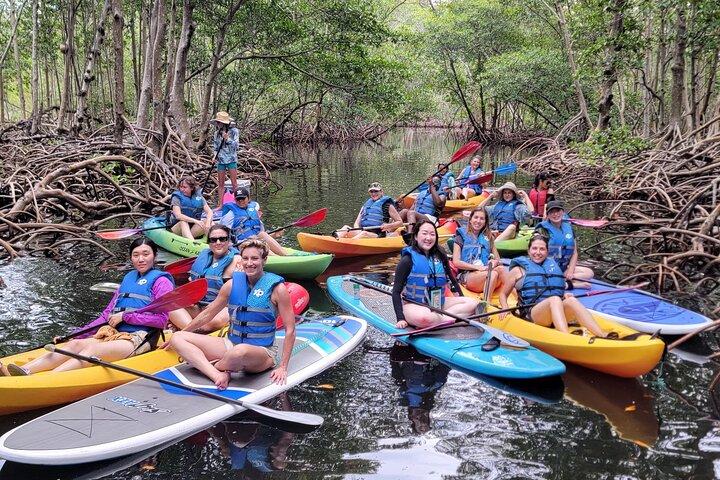 Biscayne Bay Island and Nature Exploration