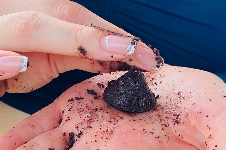 Magic Minca : Waterfalls, Cocoa Workshop and Coffee From Santa Marta