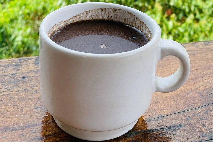 Magic Minca : Waterfalls, Cocoa Workshop and Coffee From Santa Marta