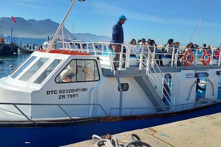 Cape Town: Hermanus Whale Watching Expedition