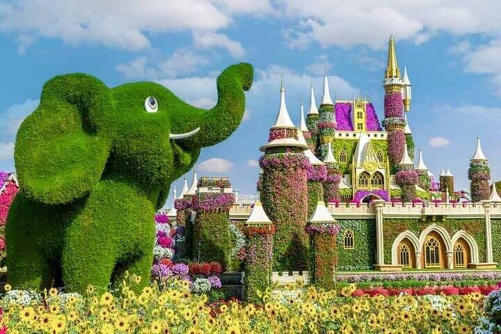 Dubai : Miracle Garden Entry Tickets