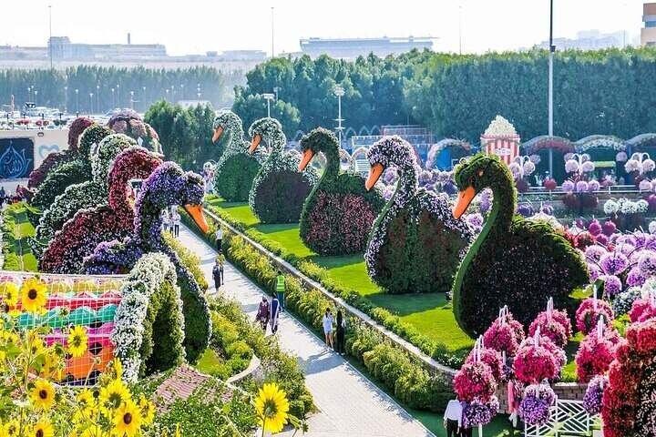 Dubai : Miracle Garden Entry Tickets