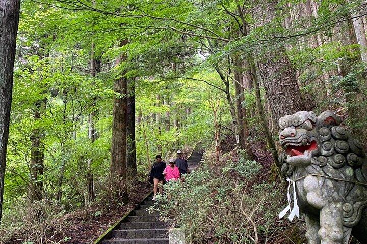 富士山を望むプライベートハイキングツアー