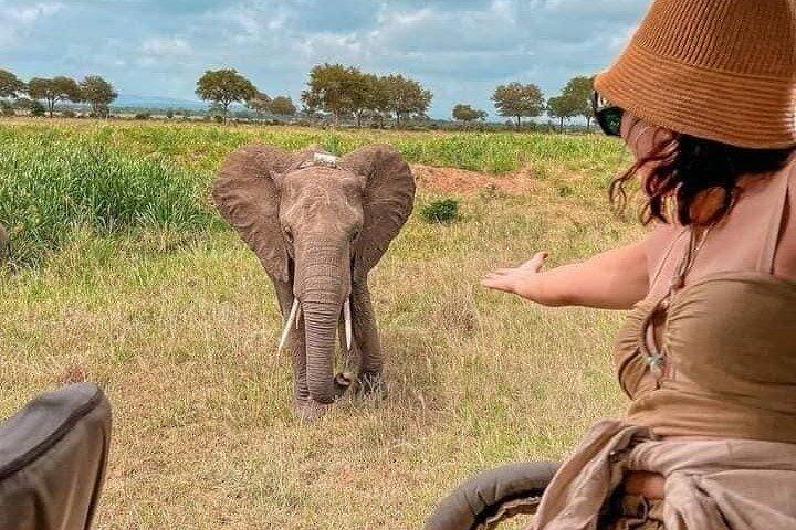 4 dagar kort och söt Safari till Tarangire och Ngorongoro Wonders