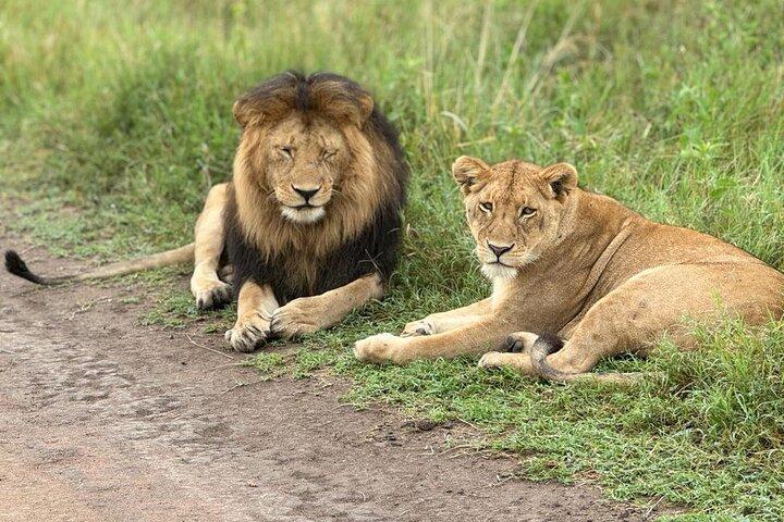 4-daagse korte en zoete safari naar Tarangire en Ngorongoro Wonders