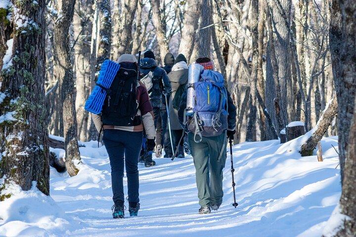 Emerald Lagoon Trekking från Ushuaia – Små grupp