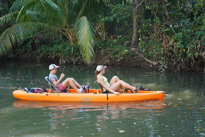 3-Hour Damas Mangrove Kayak Tour