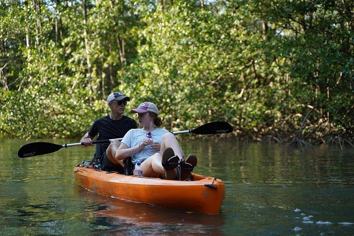 3-Hour Damas Mangrove Kayak Tour