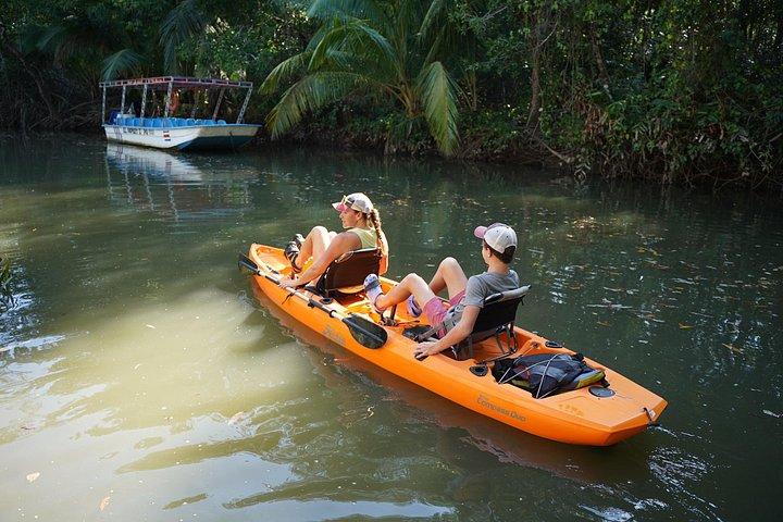 3-Hour Damas Mangrove Kayak Tour