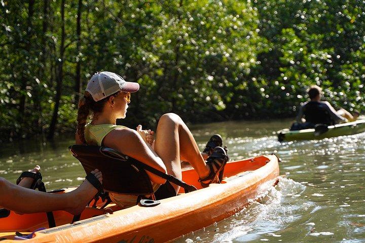 3-Hour Damas Mangrove Kayak Tour