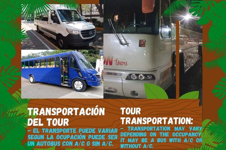 Tour express della città, Mariposario, tequila, fiume e spiaggia
