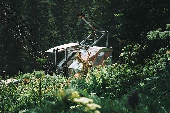 Excursion en jeep d'une demi-journée à Durango - La Plata Canyon