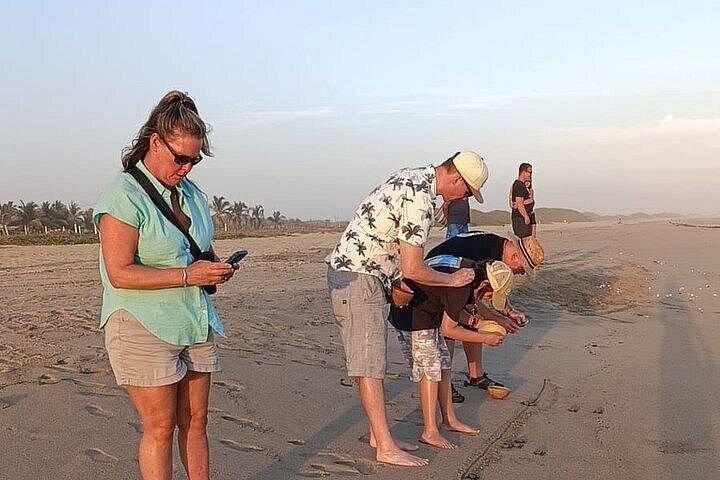 From Huatulco : Turtle release on Escobilla beach