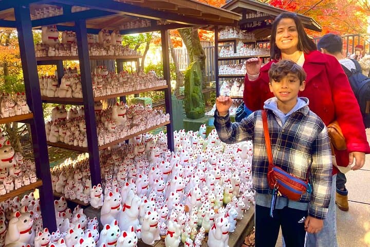 Tokyo: Gotokuji Lucky Cat Temple and Harajuku Cat Cafe Tour