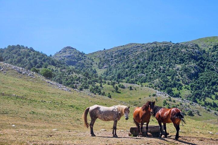 Privé Lukomir Village 4x4 off-road safaritour vanuit Sarajevo