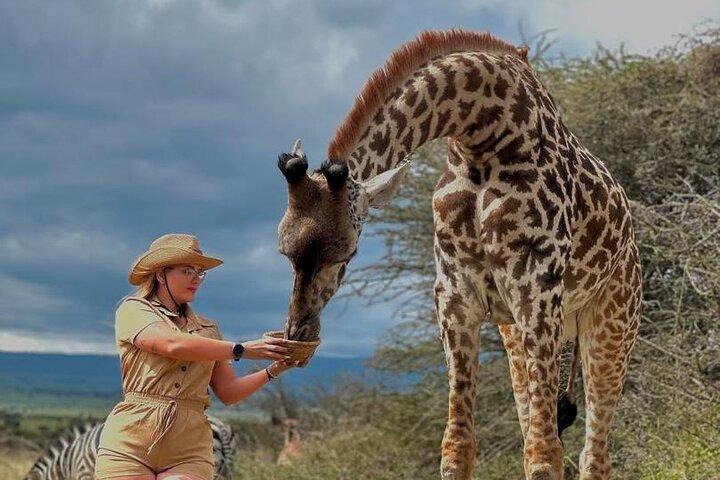 5-Daagse Wild naar het eiland Tanzania & Zanzibar + Wandelen met leeuwen