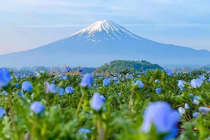 Mt Fuji Pilgrimage Full Day Tour with 7 Must See Scenic Spots