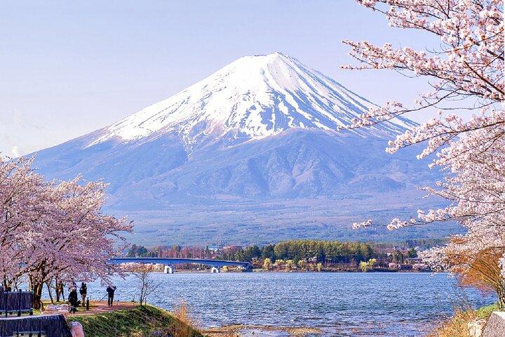 富士山遍路全日ツアー7選 絶景スポットを巡る