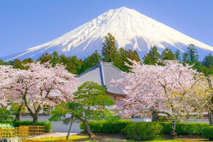 富士山遍路全日ツアー7選 絶景スポットを巡る