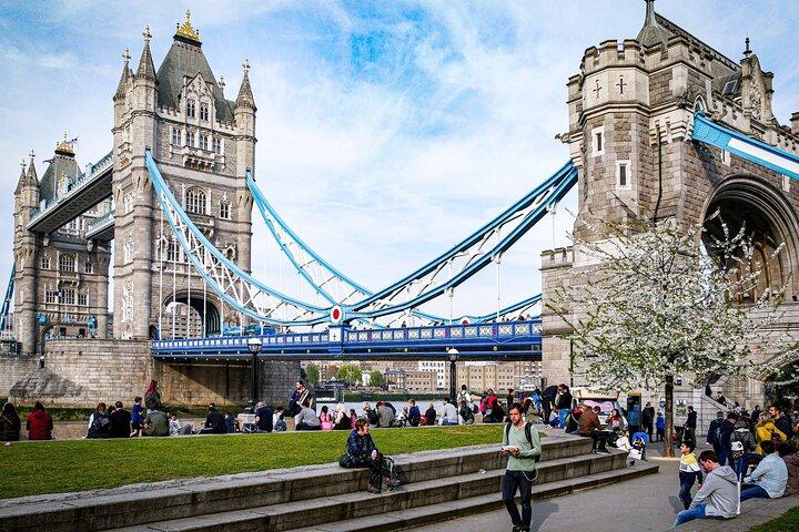 Visite privée de Londres Westminster et des principaux sites de Londres