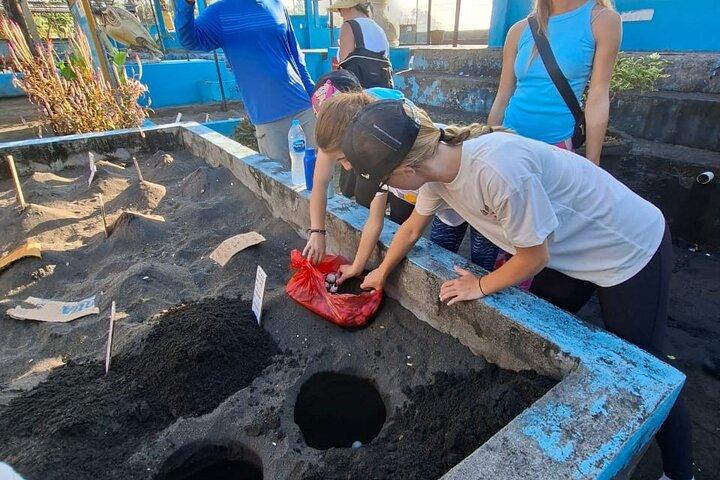 Equitazione e rilascio delle tartarughe a Saba Beach