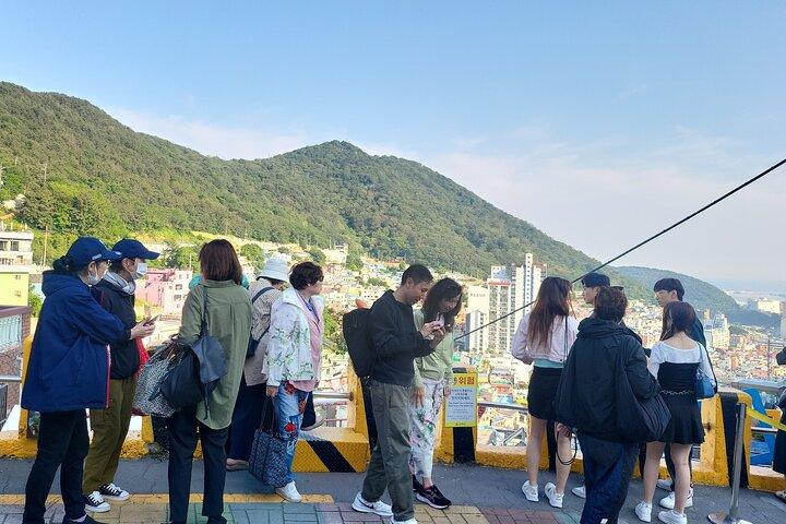 Private Tour Gamcheon CultureVillage & Busan City Tour