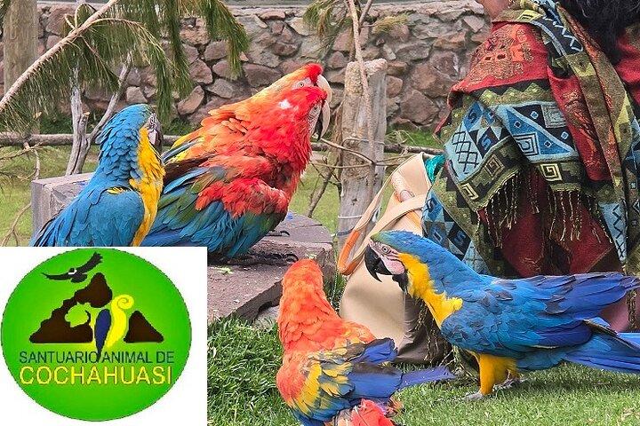 VIP Bästa vildmarkstur i Cusco Official Cochahuasi Sanctuary®