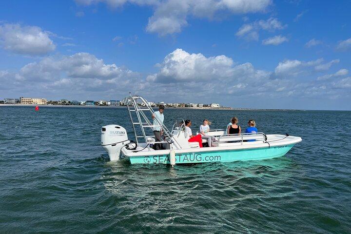 Excursion en bateau dauphin et nature