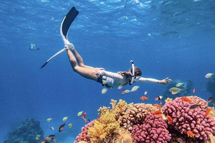 Bali Snorkeling Blue Lagoon Beach Include Lunch & Transport