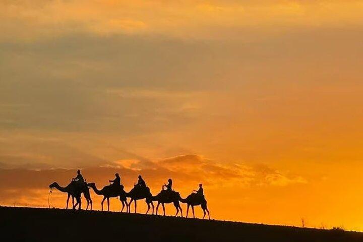 Marrakech : All-in-ONE Agafay CAMEL , DINNER, SHOW & TRANSPORT.
