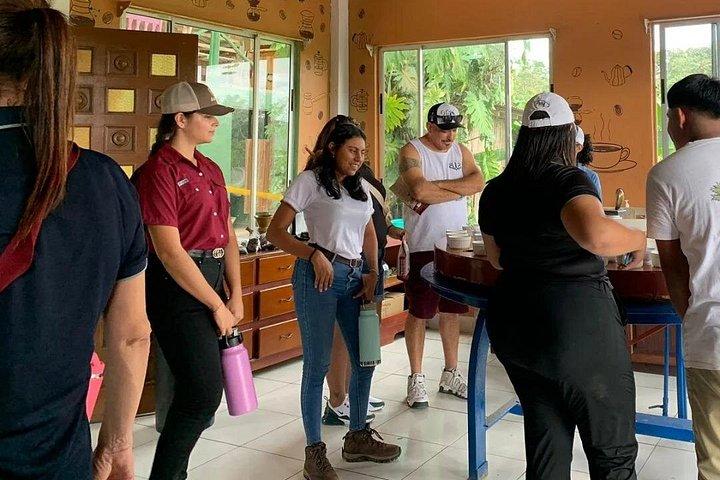 Explore Local Culture and Coffee Tour from Guanacaste