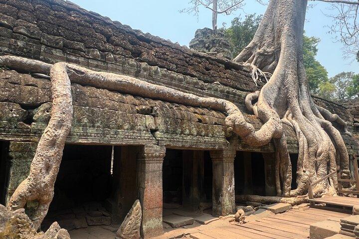 Bangkok til Angkor Wat 2 dage 1 nat med fly