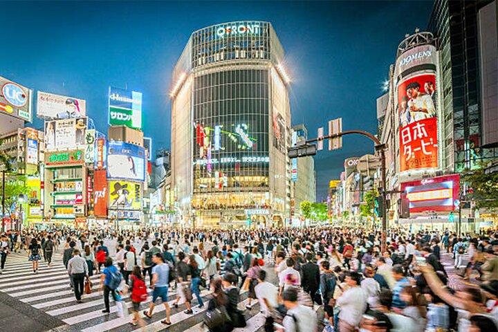 Tóquio : Shibuya Highlights Walking Tour & Secret View Spot
