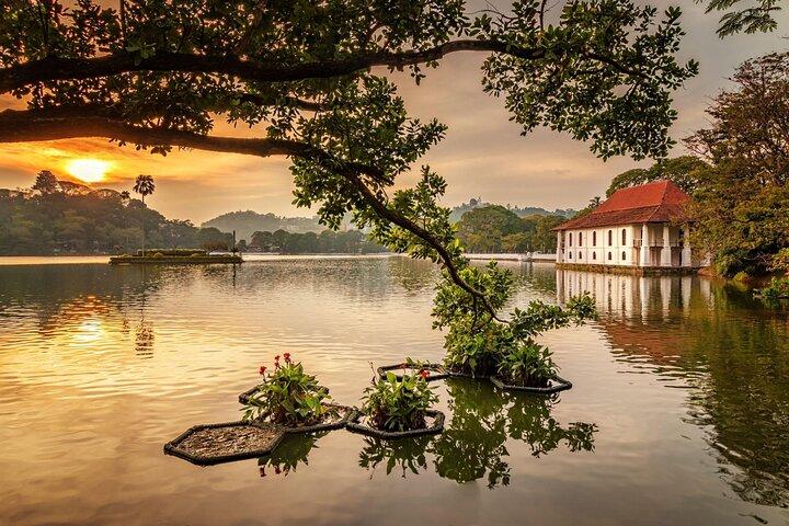 Kandy privat dagstur från Colombo/Negombo