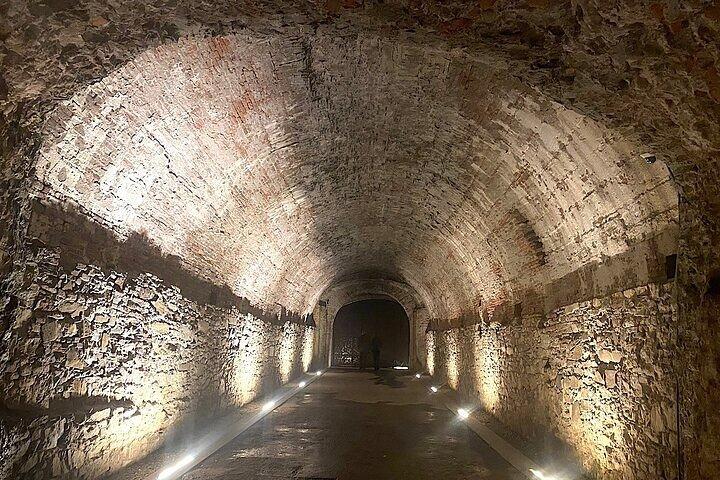 Lucca and Tuscan Winery Escape from the Port of La Spezia