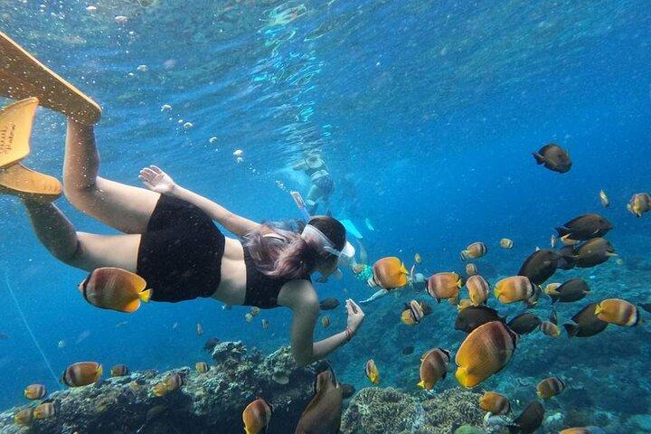 Bali: Blue Lagoon and Tanjung Jepung Snorkeling Tour