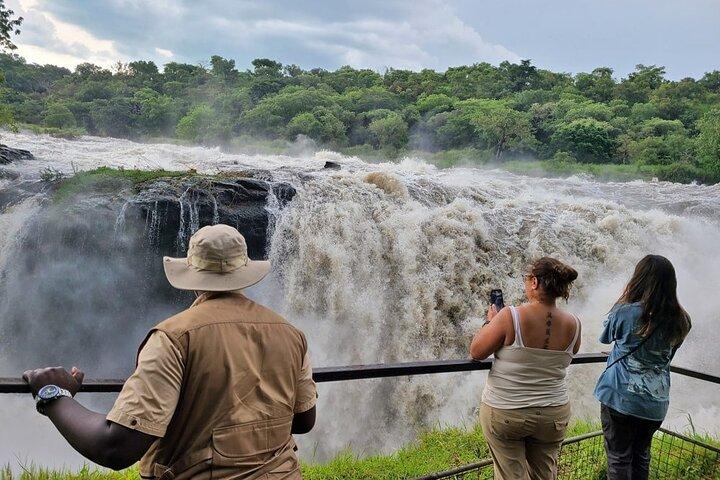 Murchison Falls Day Safari (Game Drive & Falls)