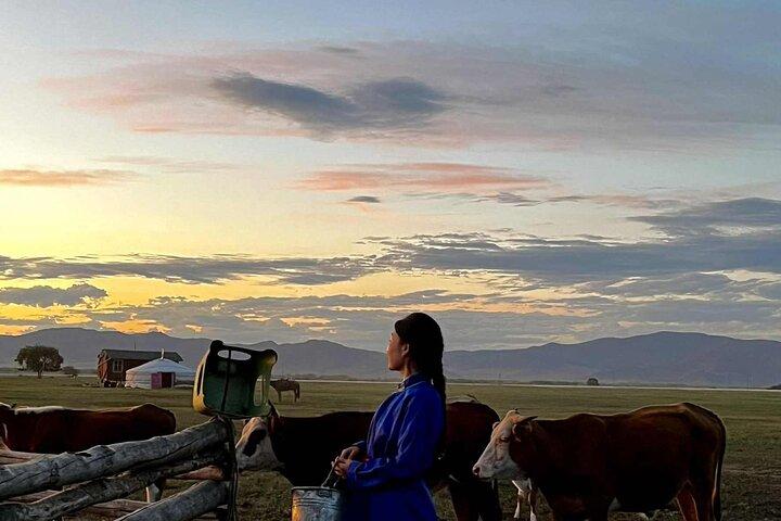 Experiencia de vida nómada de 4 días en el norte de Mongolia