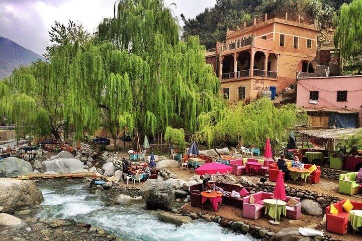 Marrakech dagstur utforska Ourika Valley Atlas Mountains 2025