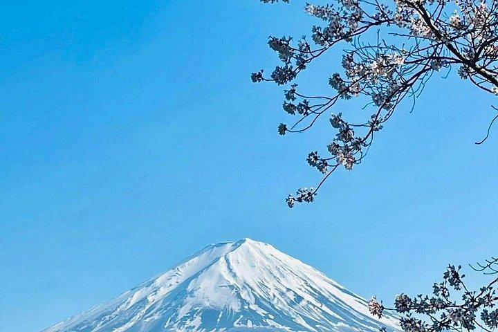 VIP富士山と箱根世界遺産カスタマイズ日帰りツアー。