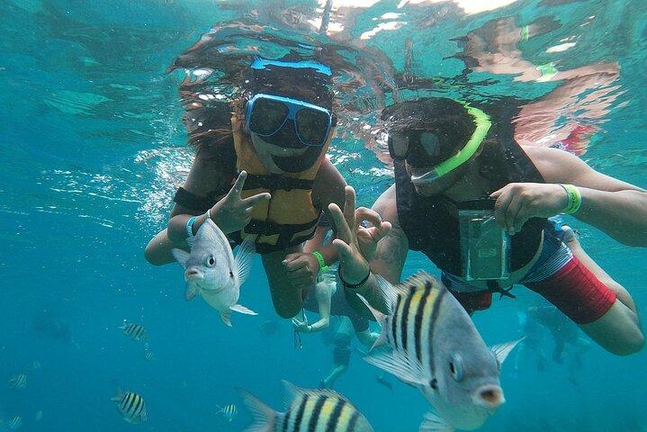 Der perfekte Tag im Chankanaab Park Cozumel