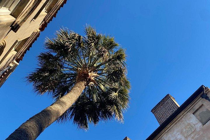 Recorrido privado a pie por la historia judía de Charleston