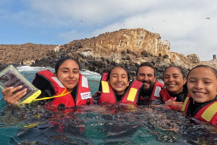 Hidden Gem - Swimming with Sea Lions in the Palomino Islands