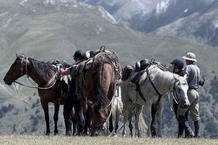 Garantierte 5 Tage Gruppenreisen in Tusheti - Abfahrt jeden Freitag