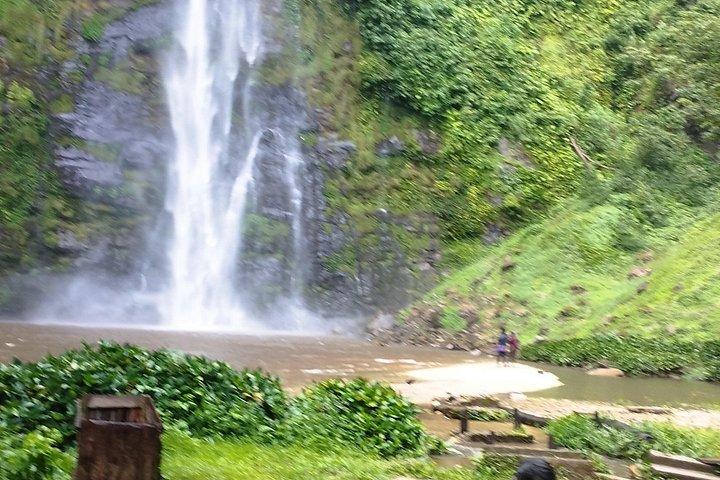 Wli Waterfall and Tafi Atome Monkey Sanctuary Day Tour