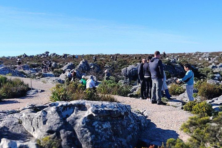 Table Mountain Fast Track Tickets Plus Cape Town City Tour
