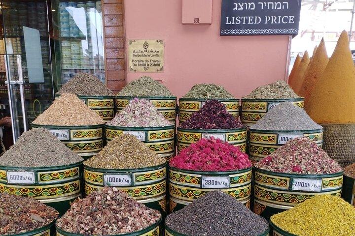 Private Marrakesch-Tour : Bahia-Palast, Saadische Gräber & Souks