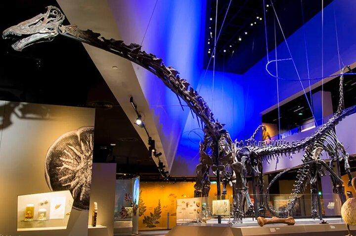Lee Kong Chian Natural History Museum Ticket in Singapore